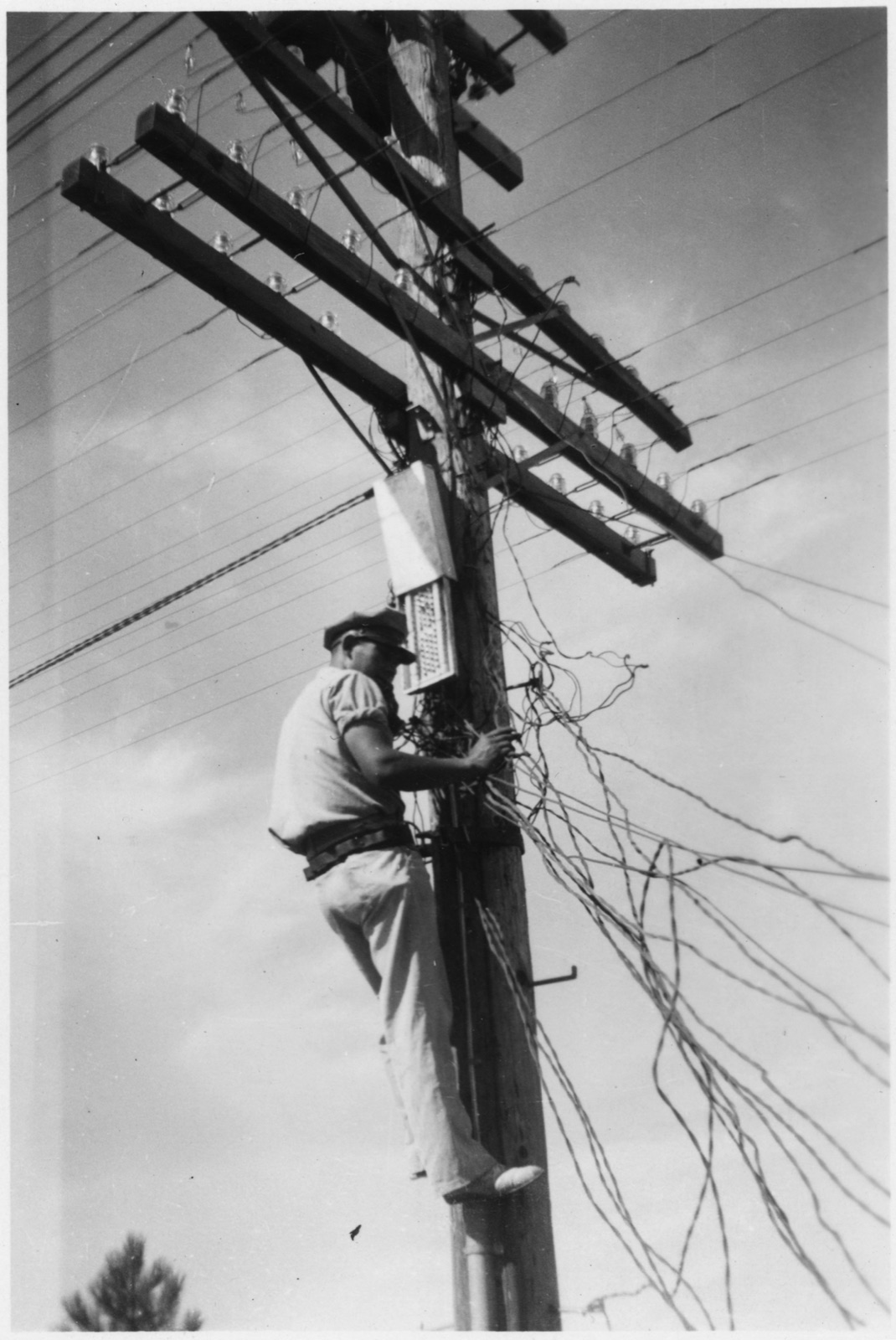 A black-and-white National Archives photograph of a telephone lineman strapped to a wooden pole, working bare-handed at a terminal box among crossarms, insulators and a tangle of loose wires.